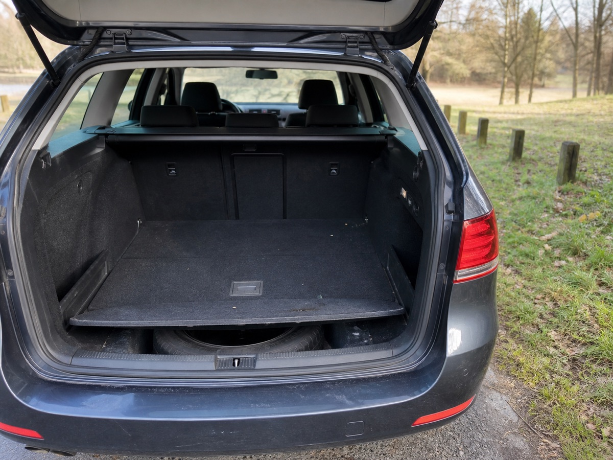 Kotspuren im Auto: Könnte eine Maus eingedrungen sein?